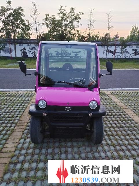 大阳电动车，全新电瓶